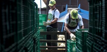 Mesa Brasil Sesc arrecada mais de 100 toneladas de alimentos em pouco mais de duas semanas