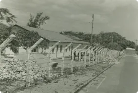 1954
